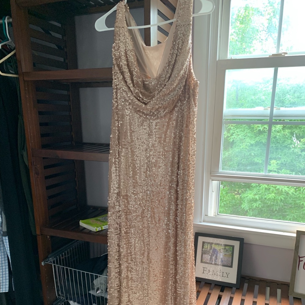 Adrianna papell plus size gown